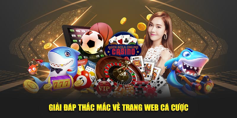 Giải đáp thắc mắc về trang web cá cược S666